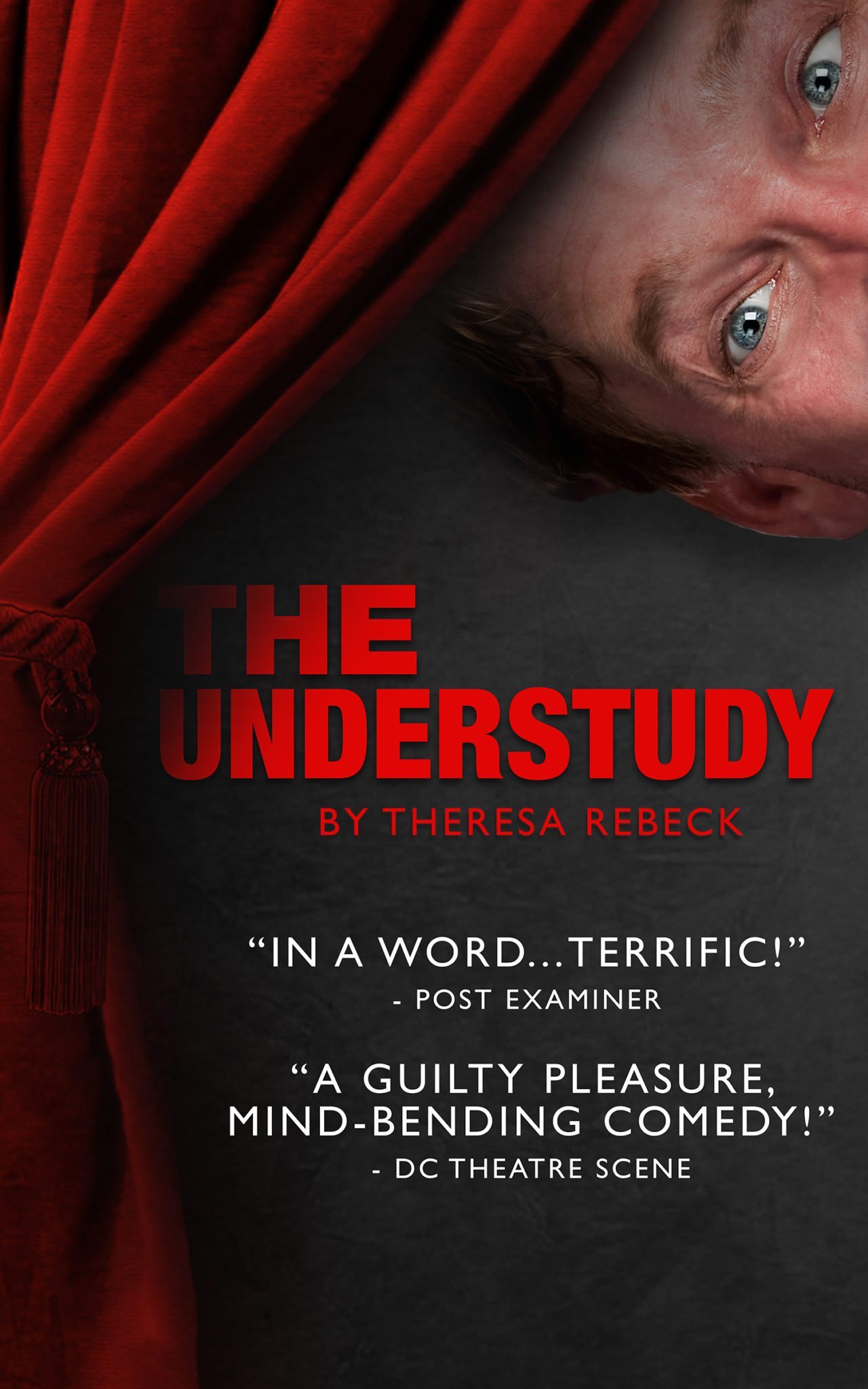 The Understudy See This Comical PlayWithinaPlay at