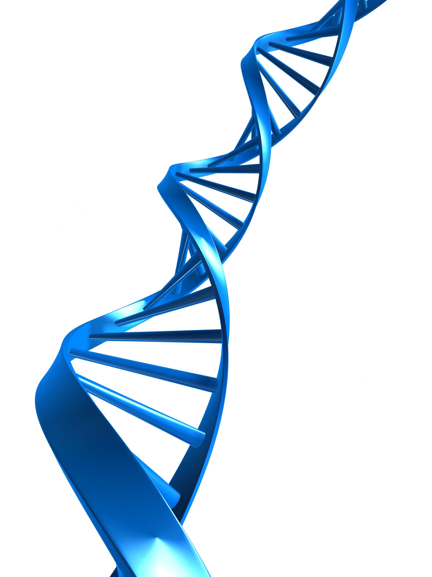 DNA Strand HealthCare Recruiters International