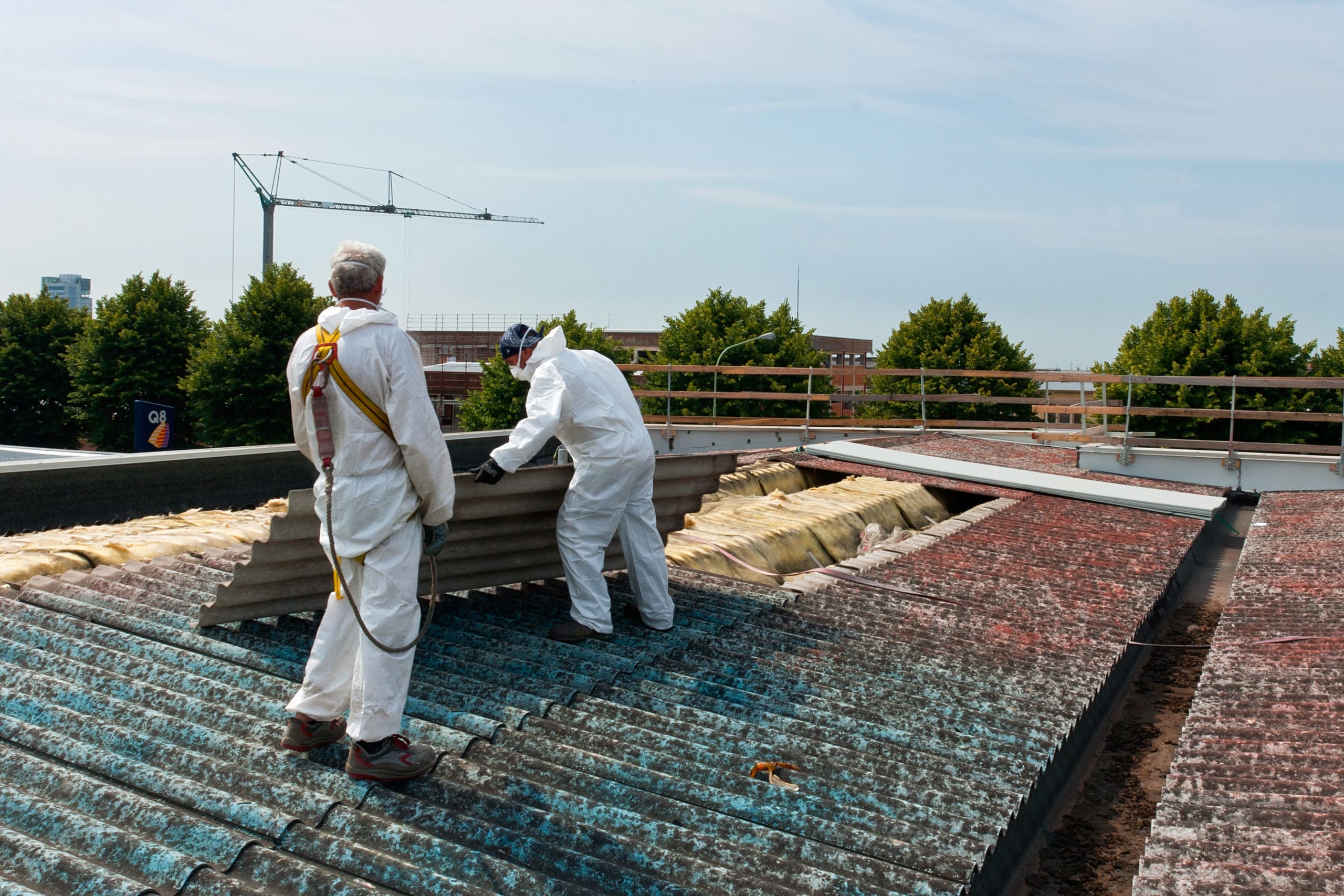 Safety Measures for Asbestos Exposure in Construction HCSS