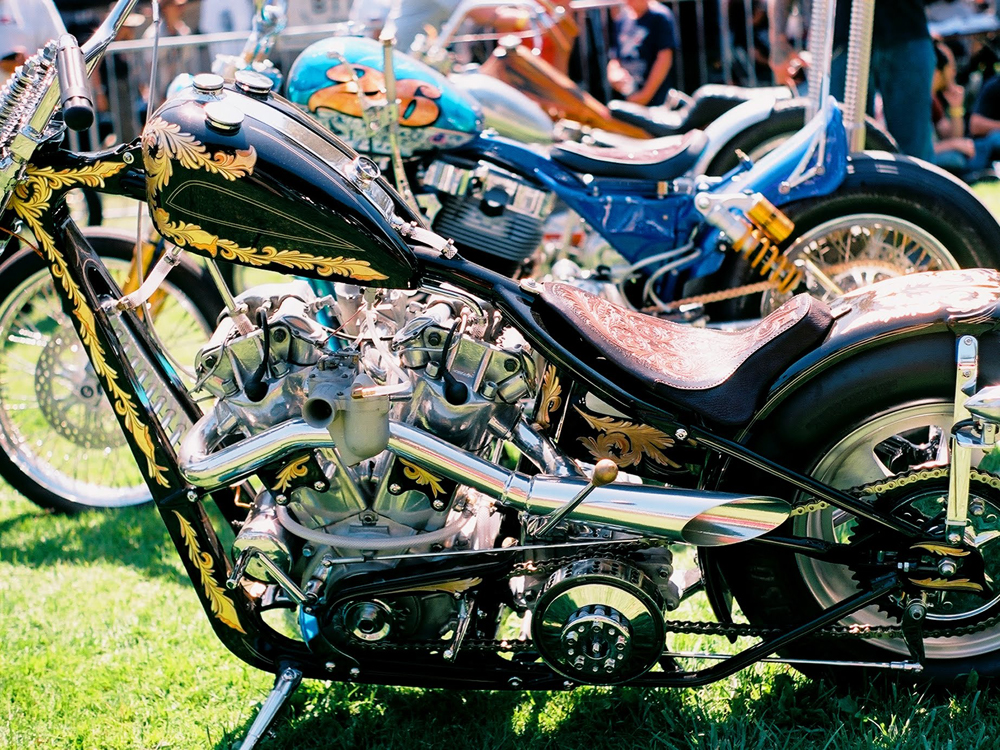 beautiful gold leaf details Harley Davidson Forums