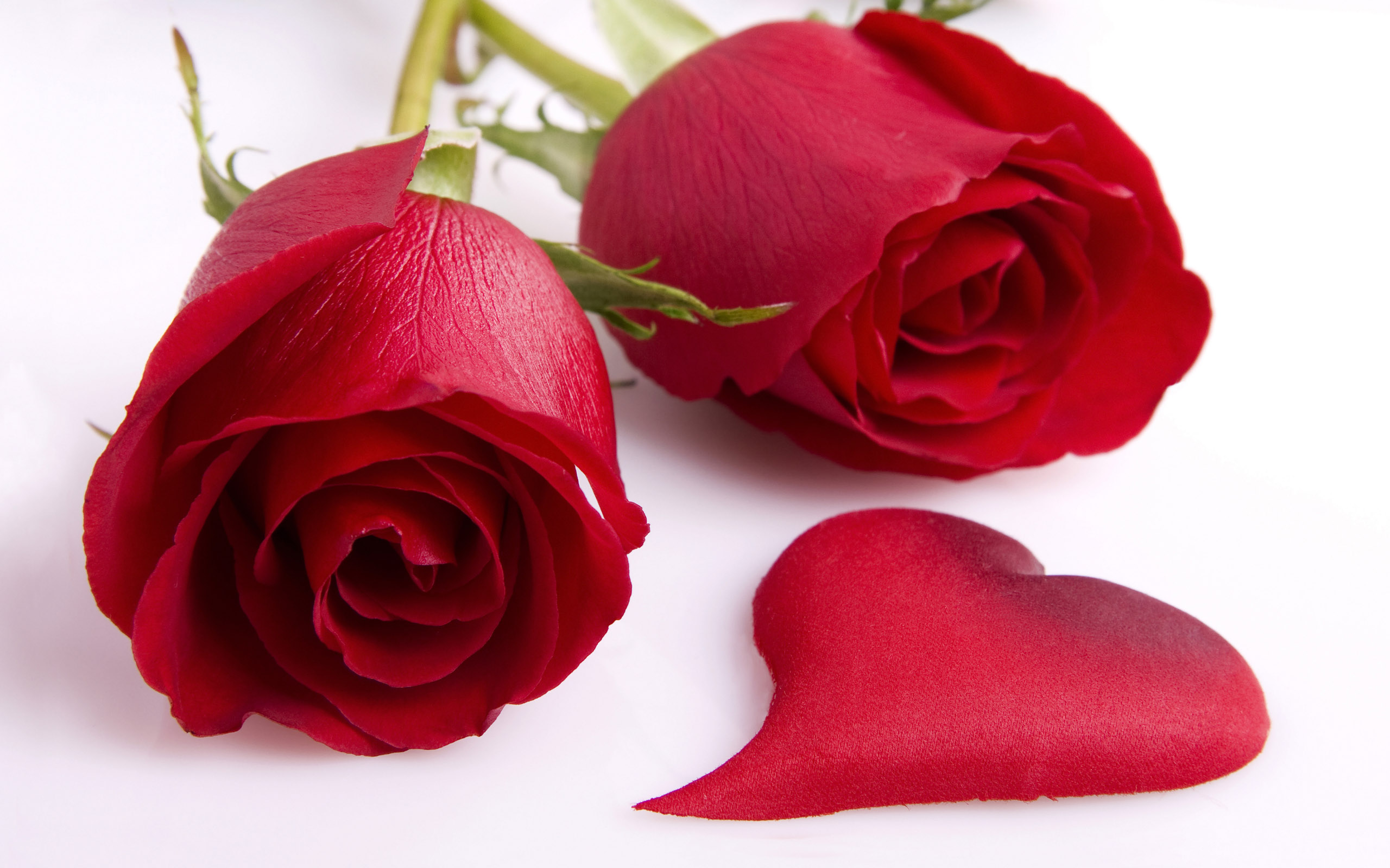 3D Rose Wallpaper, Awesome 3d Rose Image, 15553