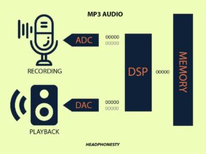 Digital Signal Processing (DSP) Audio Explained: A Beginner’s Guide