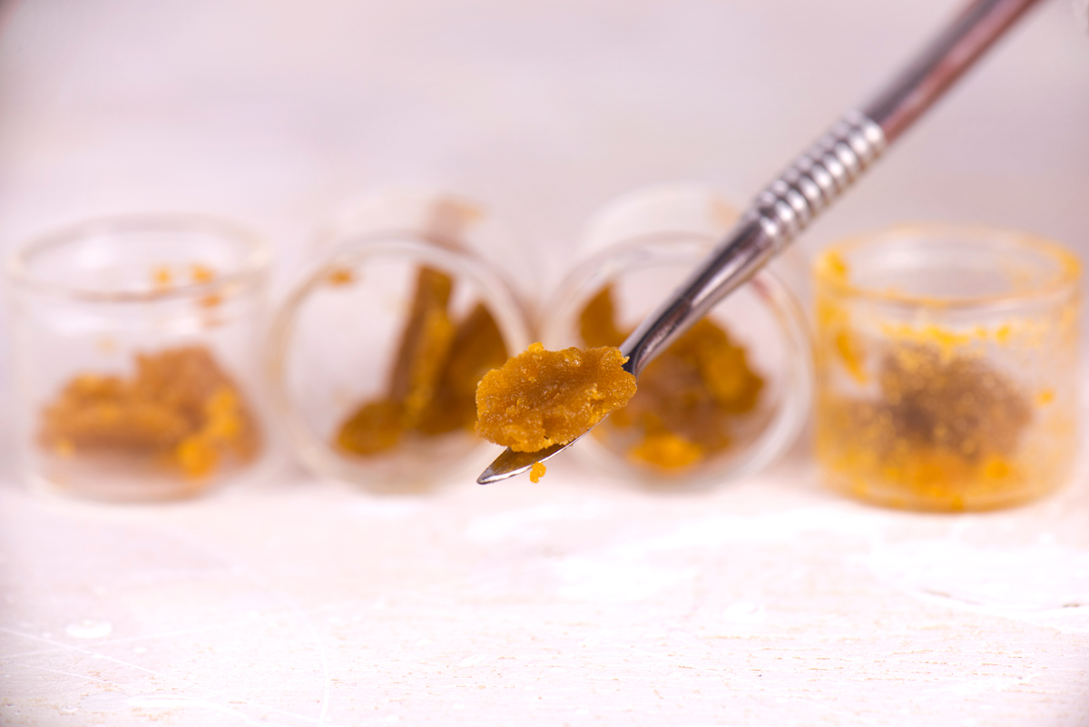 Cannabis Extracts Explained A Newbie's Walkthrough of the Basics