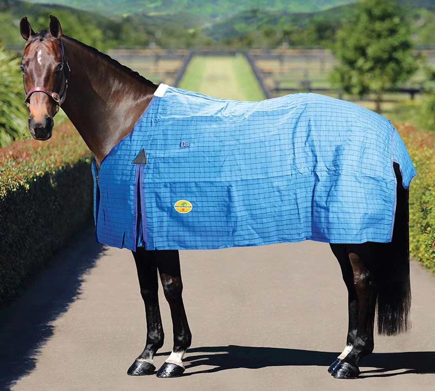 Horsemaster Ripstop Canvas Unlined Horse Rug Heads To Tails Horseware