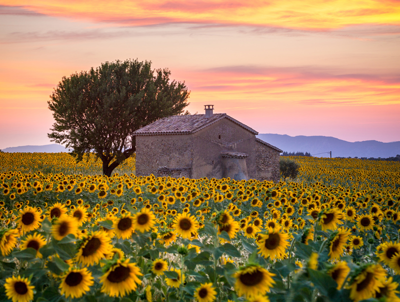 Buying Property in France With The French Summer In Mind