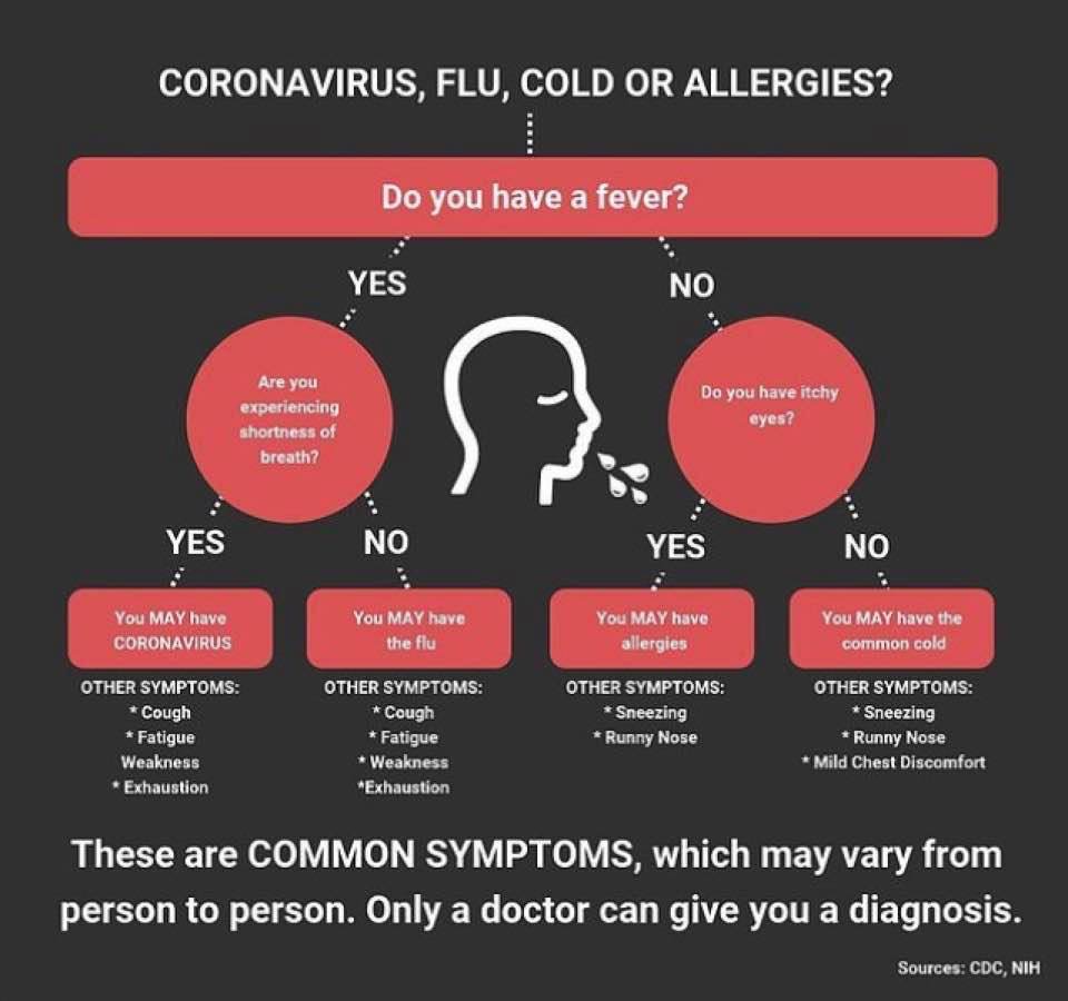 Coronavirus Update Health Brigade