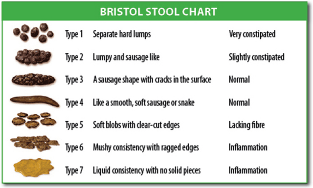 Bowel Movement Chart – Meaning, Picture and Types | Healthhype.com