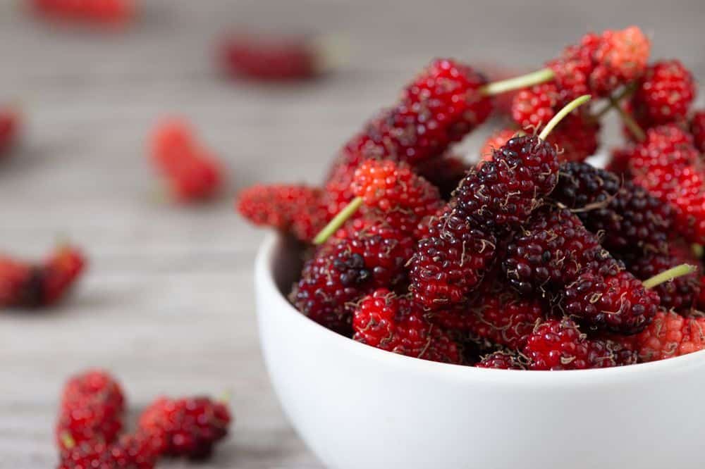 Mulberries Nutrition Facts, Health Benefits And More HealthifyMe