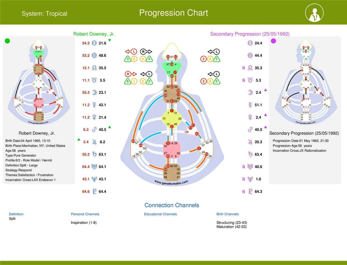 Progression Human Design Chart Health Manifested