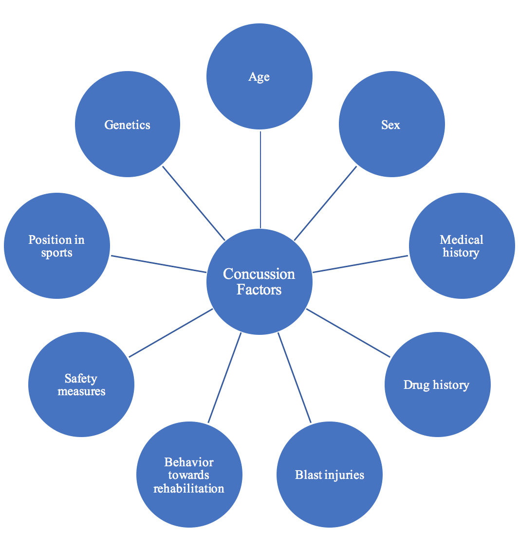 What Are Concussions? The Basics of Brain Structure and Function
