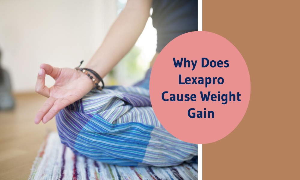 Why Does Lexapro Cause Weight Gain Healthy B Daily