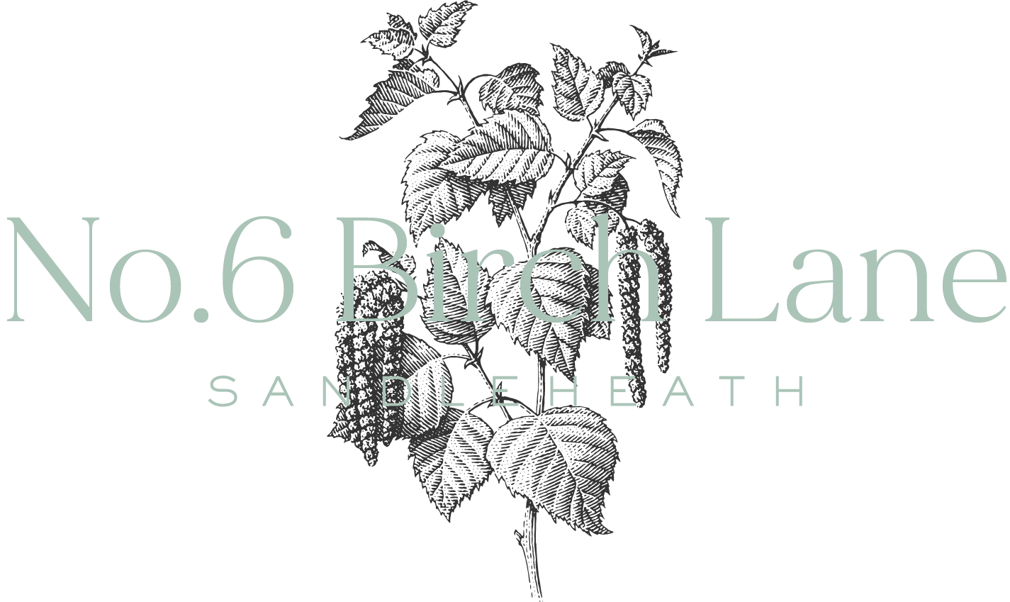 No.6 Birch Lane Healthy Developments