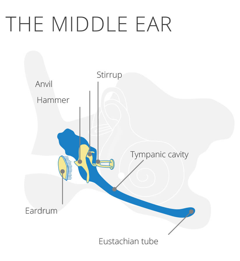 Hole in the eardrum Information on torn eardrums Malaysia