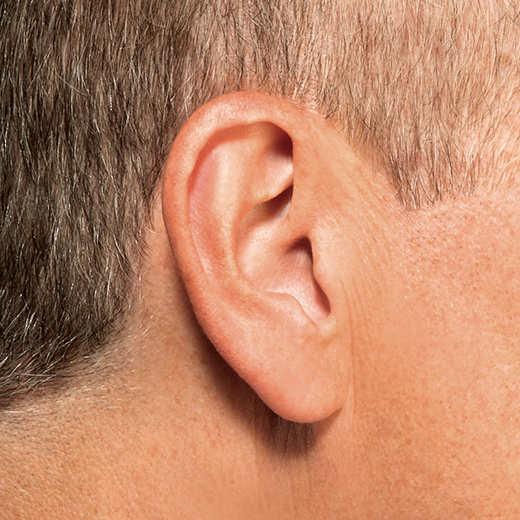 Invisible Hearing Aids Jasper, IN The Hearing Doctor