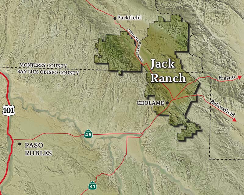 Cholame Rancho The Jack Ranch Hearst Ranch Beef
