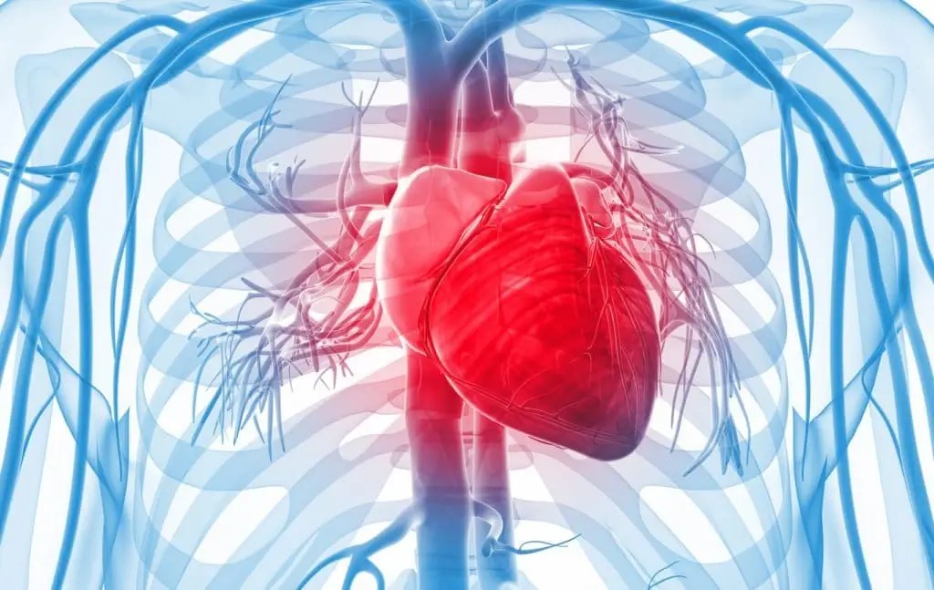 BLS Certification San Diego AHA BLS Heart CPR