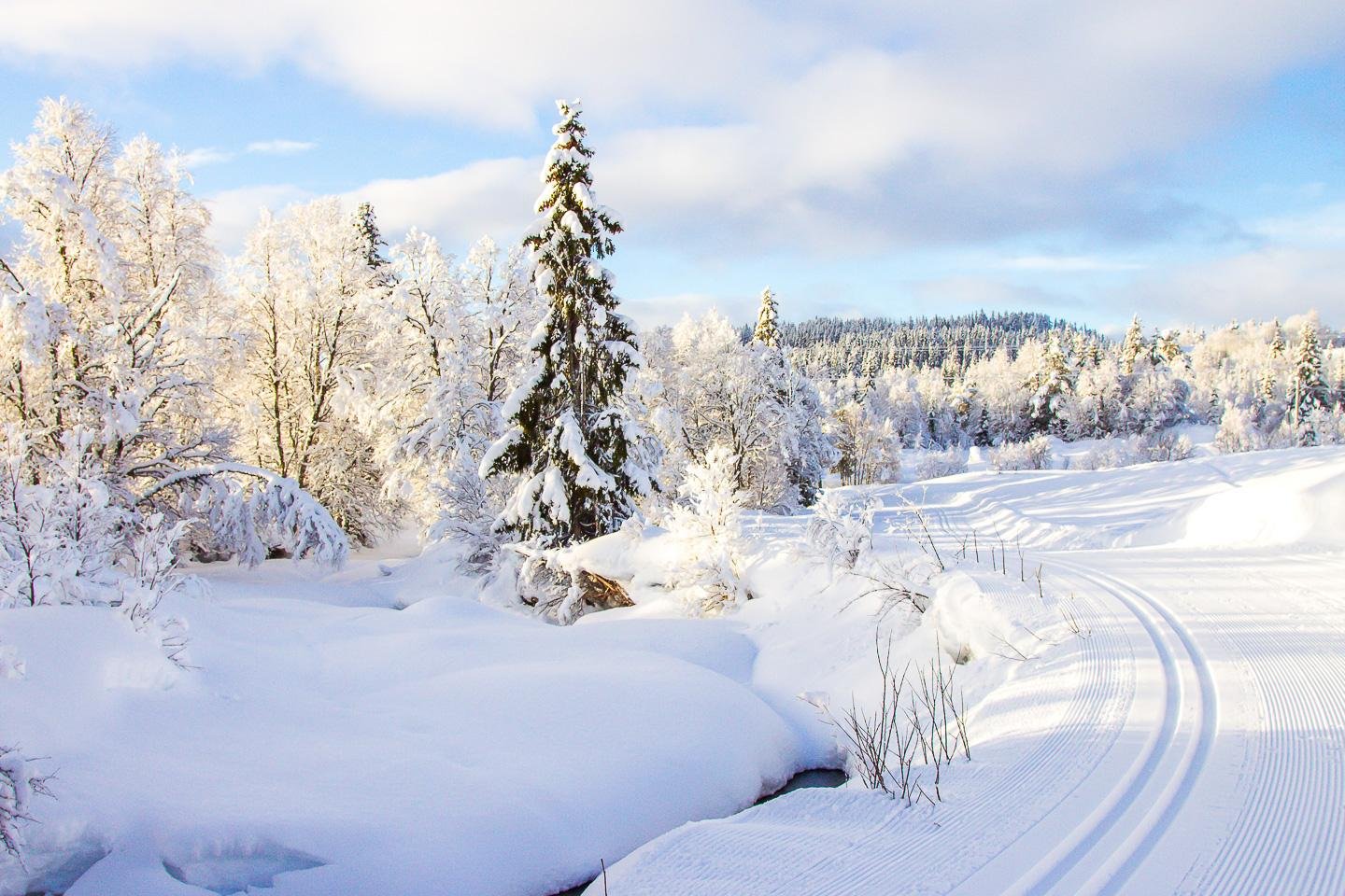 9 Reasons to Visit Norway in the Winter Heart My Backpack