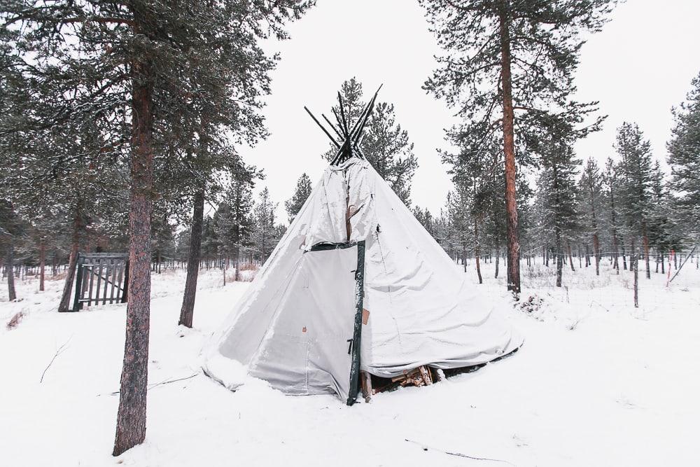 The Airbnb in Swedish Lapland Where You Can Stay with Reindeer Heart