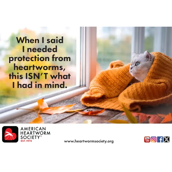 Do You KNOW Heartworms in Cats American Heartworm Society