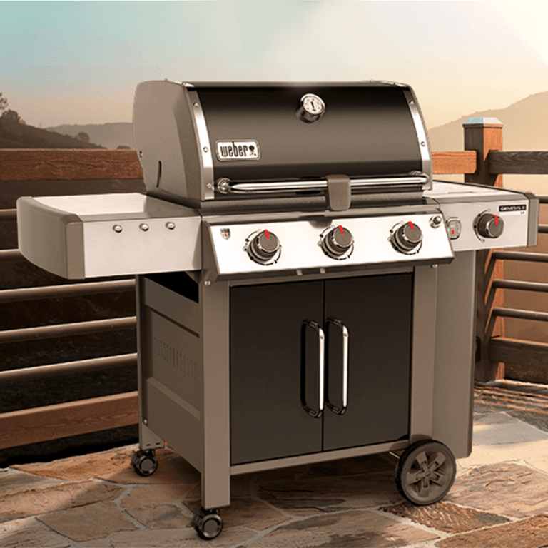 Meet the Weber Genesis II Heat and Grill