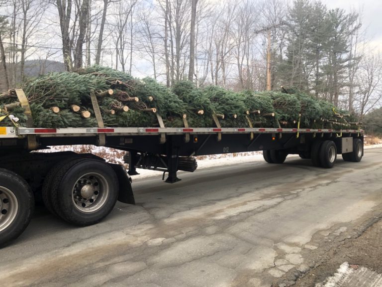 Est Christmas Gifts Of 2024022 National Christmas Tree Transportation Yrailers Delivering 200 Christmas Trees for the Holidays Heavy Haulers Heavy
