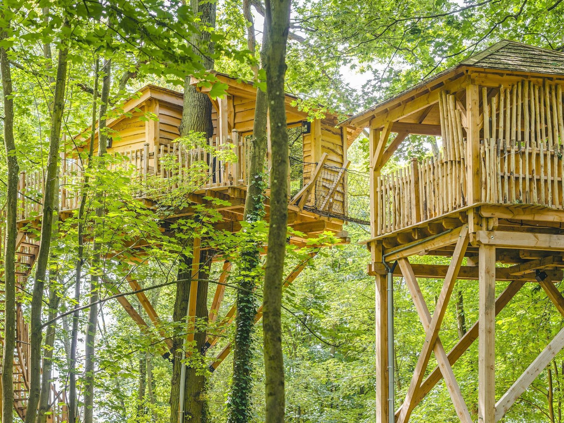 Cabane Spa Cocon Cabane dans les arbres HautsdeFrance location