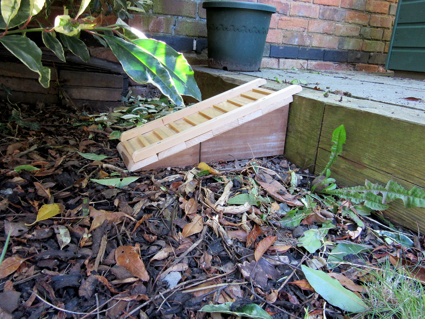 Hedgehog Ramp (2) e Hedgehog Street