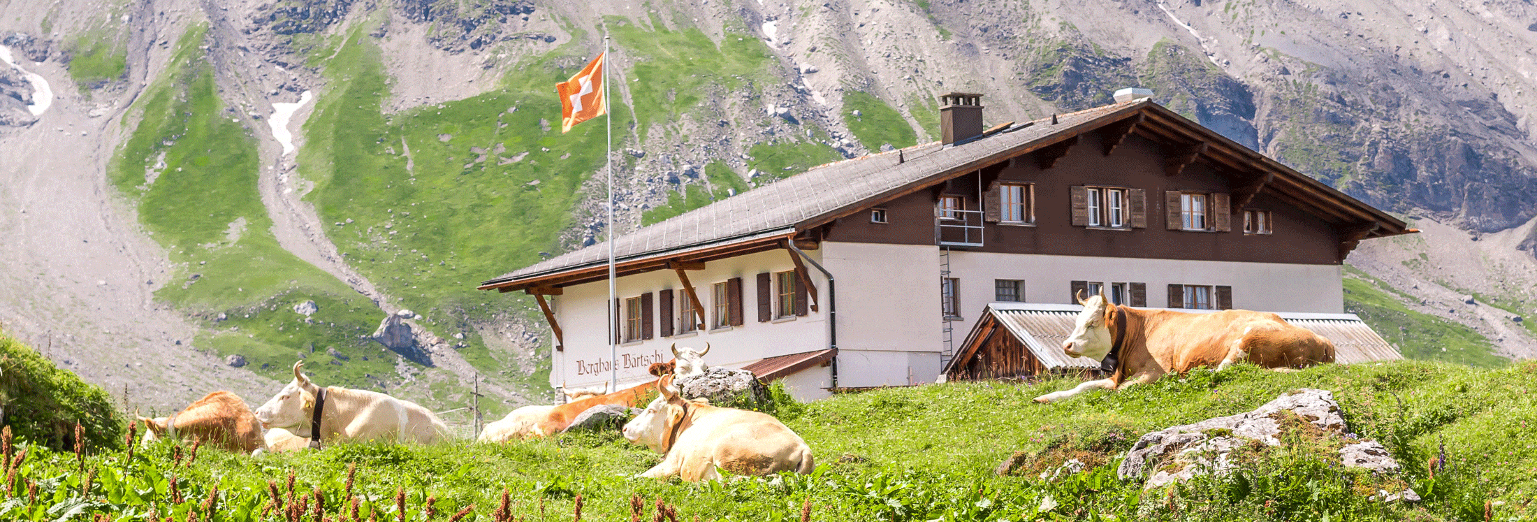 Switzerland Travel Diaries Weekend in Zurich Hedonisitit