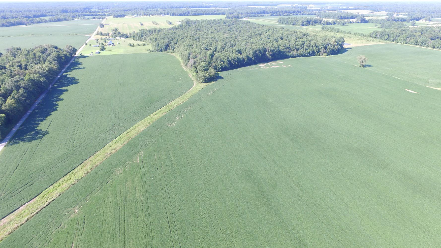 Heil's Auction Service Auction Results