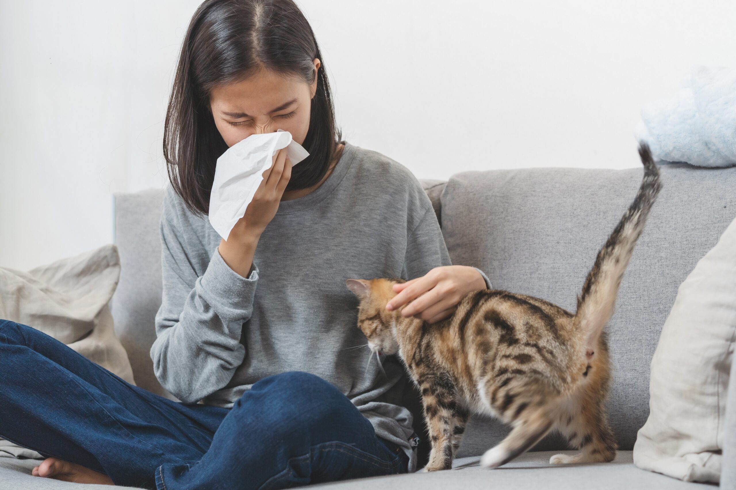 Katzenhaarallergie Neue Behandlung mit Antikörpern Heilpraxis