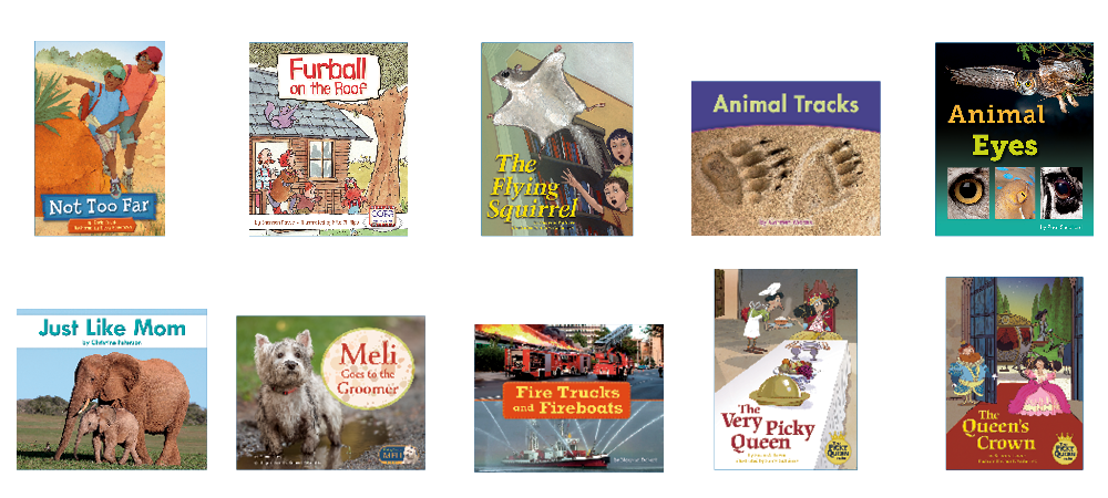 Fountas and Pinnell Guided Reading Text Level Set 2G2 by Irene Fountas,
