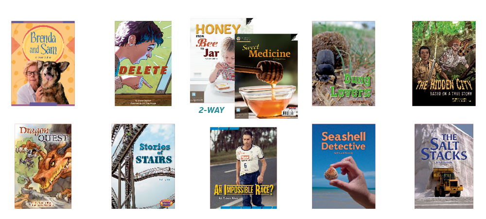 Fountas and Pinnell Guided Reading Text Level Set 3Q1 by Irene Fountas,