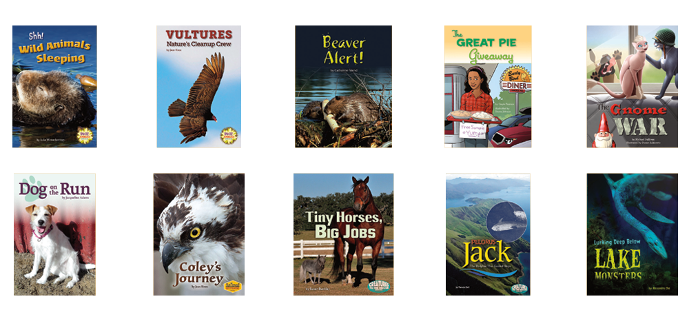 Fountas and Pinnell Guided Reading Text Level Set 4Q1 by Irene Fountas,