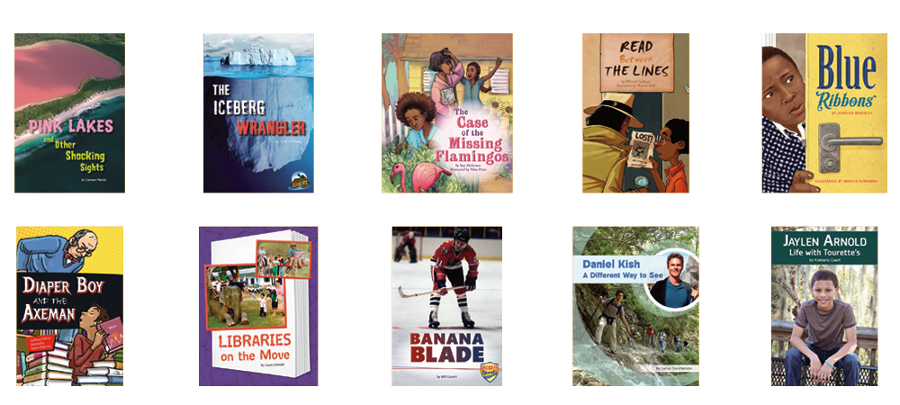 Fountas and Pinnell Guided Reading Text Level Set 4Q2 by Irene Fountas,