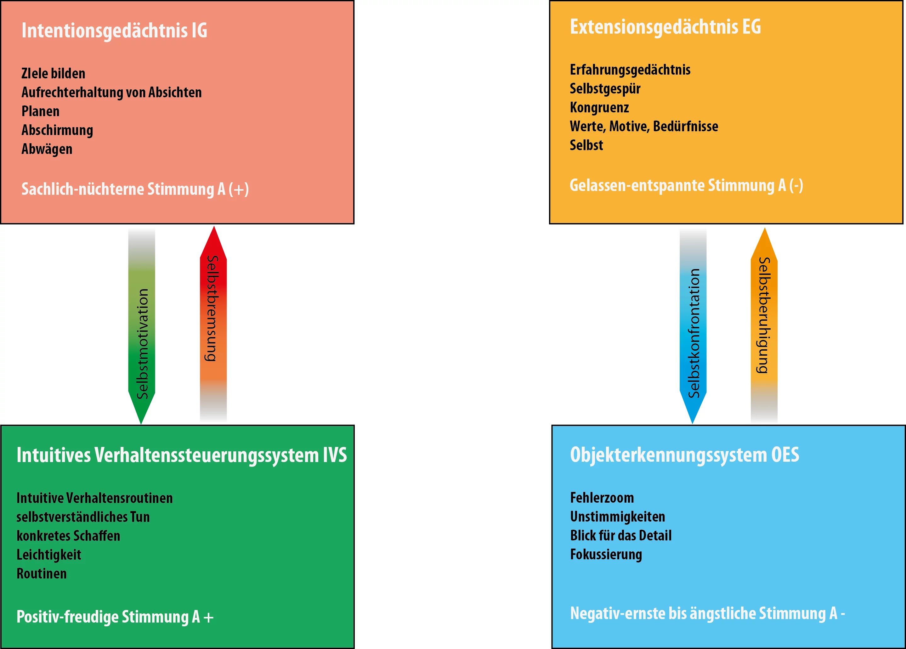 Die Geheimnisse Deiner Psyche entschlüsselt Heisetraining