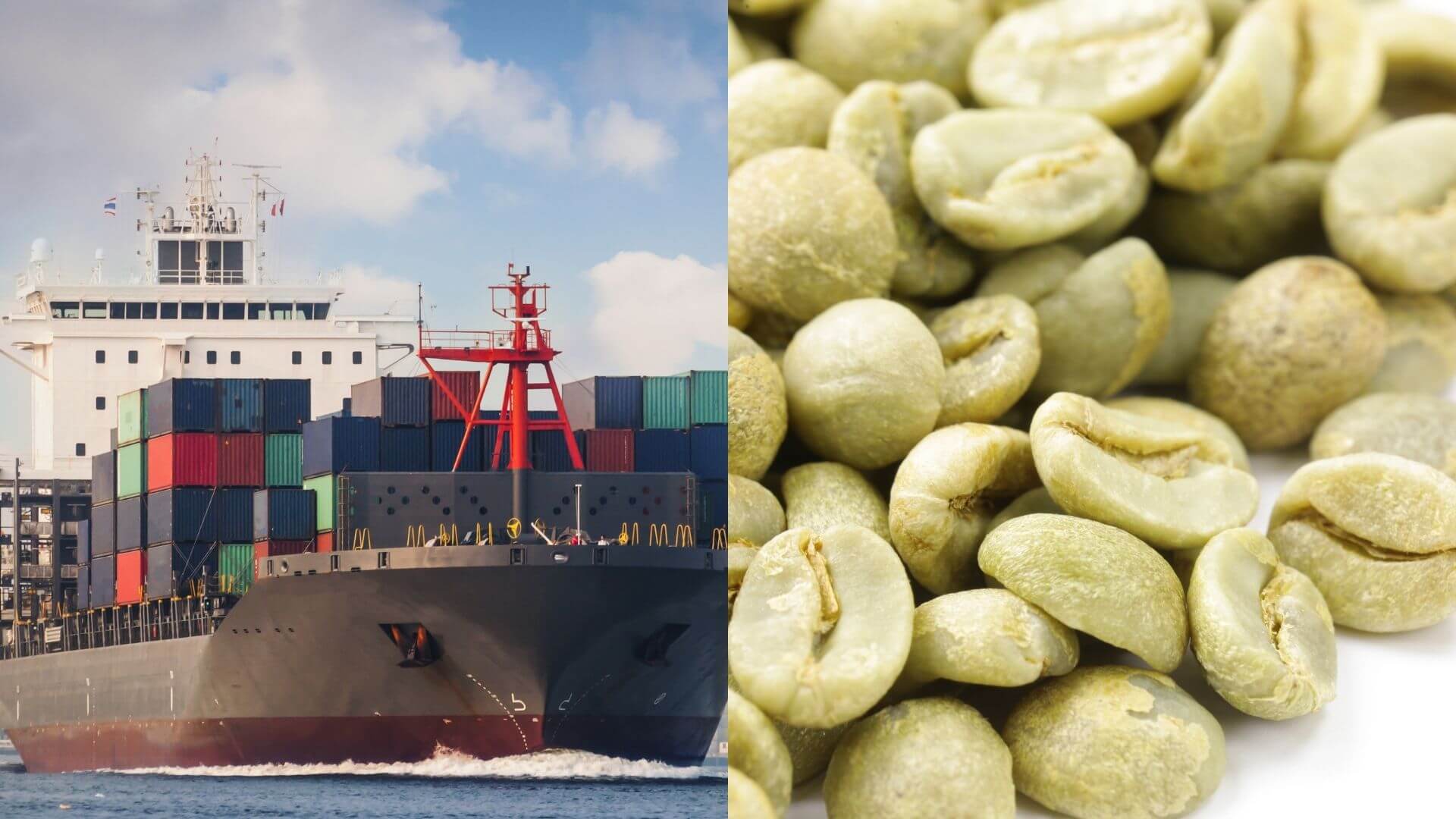 HS Code Of Green Coffee Beans Coffee HS code for Export & Import