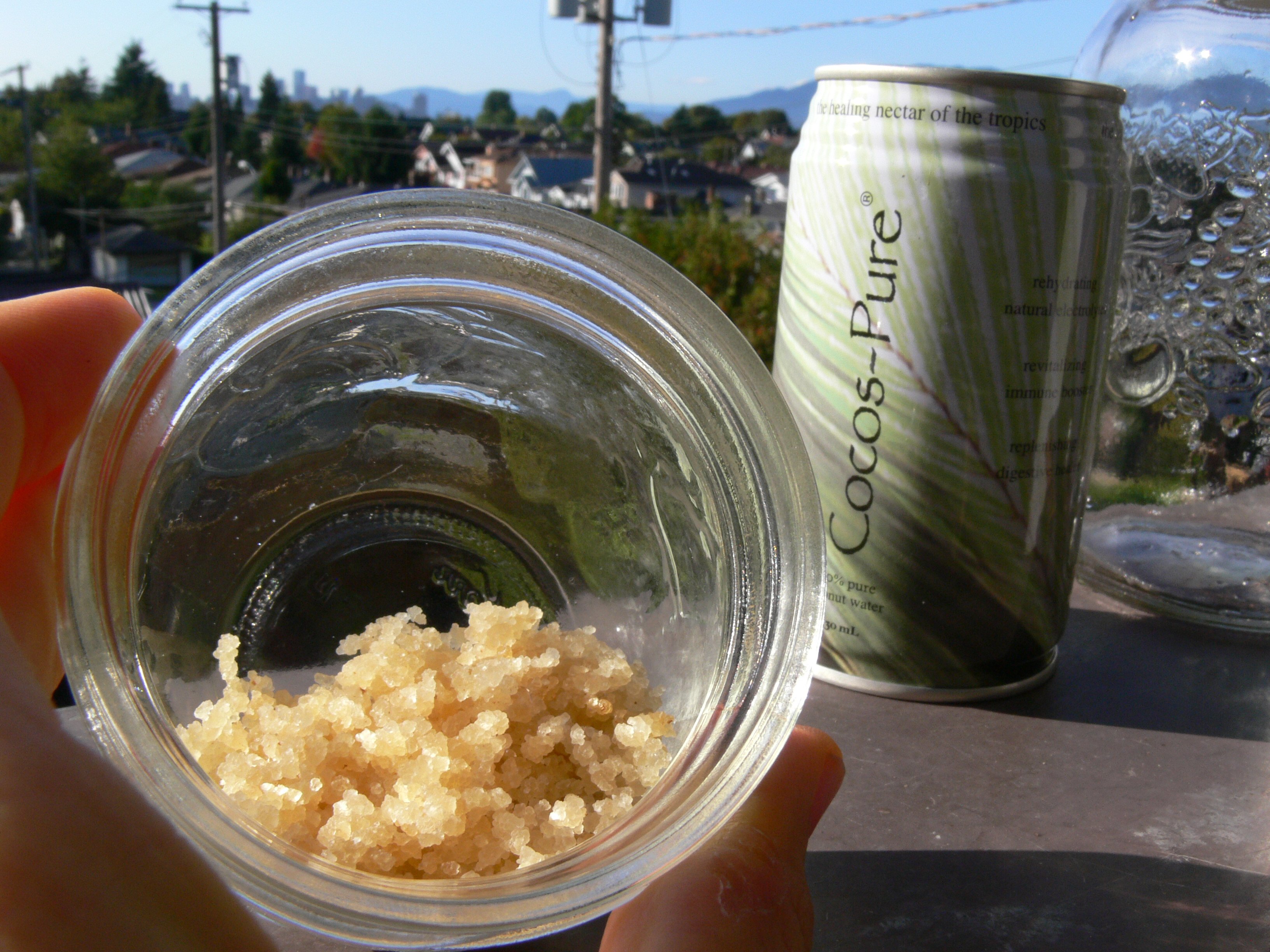 Coconut Water Kefir Tips and Benefits Hella Delicious