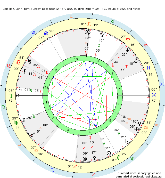 Birth Chart Camille Guerin (Capricorn) Zodiac Sign Astrology