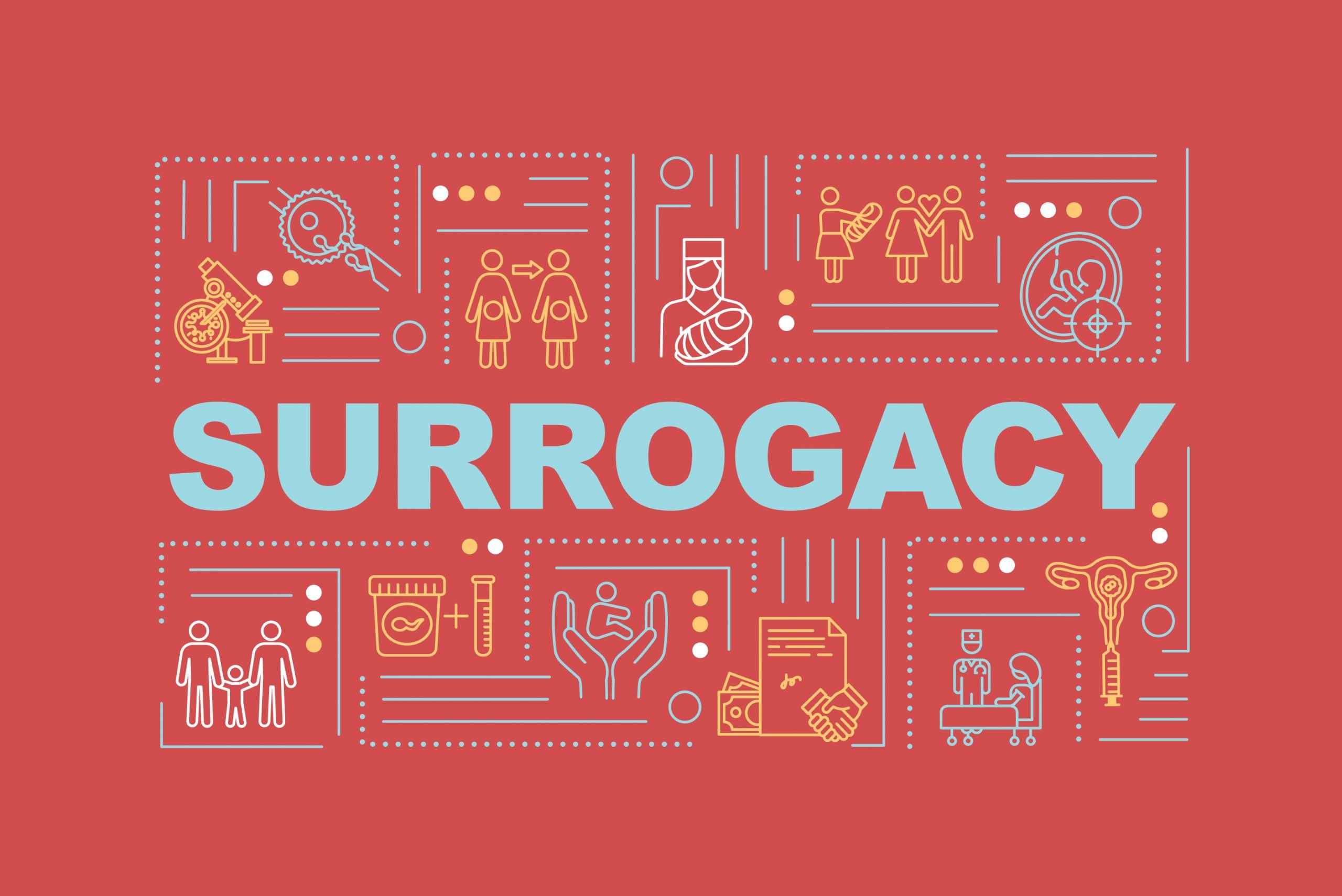 Surrogacy Process Hellobaby Surrogacy & Egg Donation