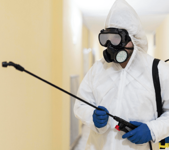 1ˢᵗ Affordable Maid Cleaning Services Company Bur Dubai