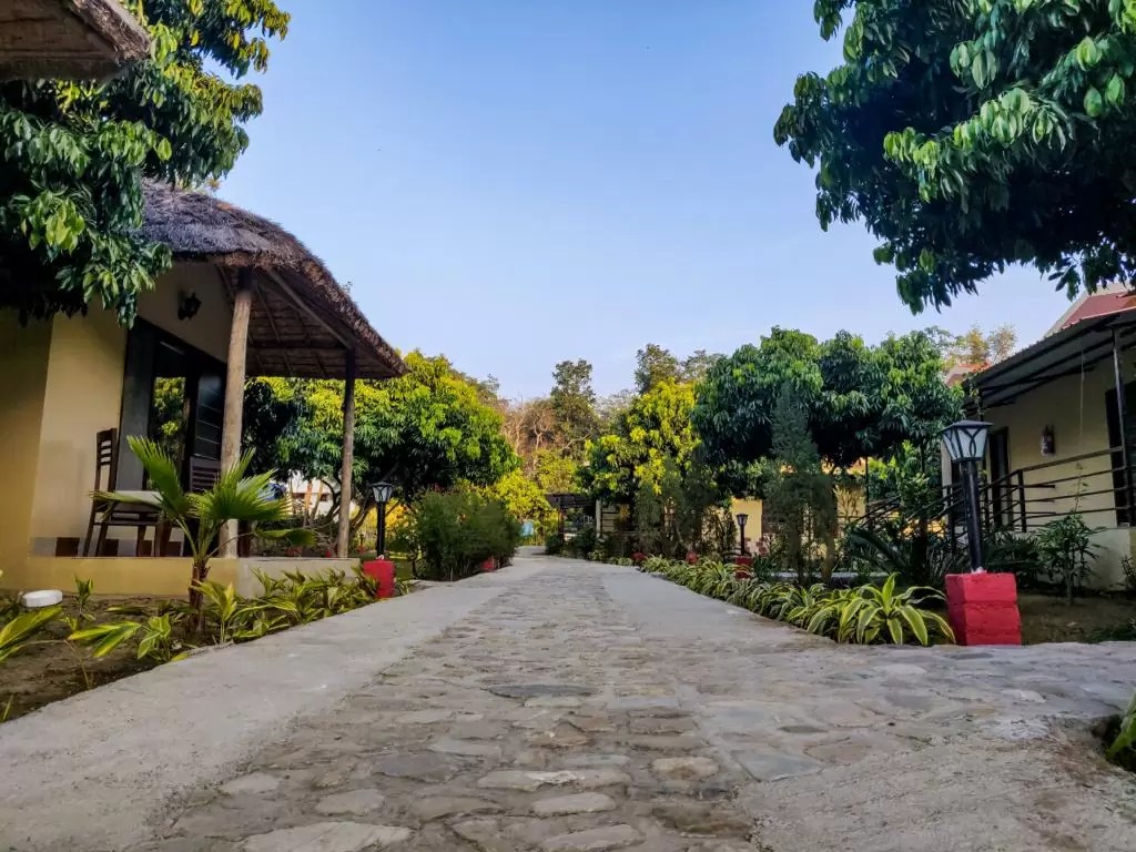 Corbett Tiger N Trees Tiger and Tree Resort in Corbett Location