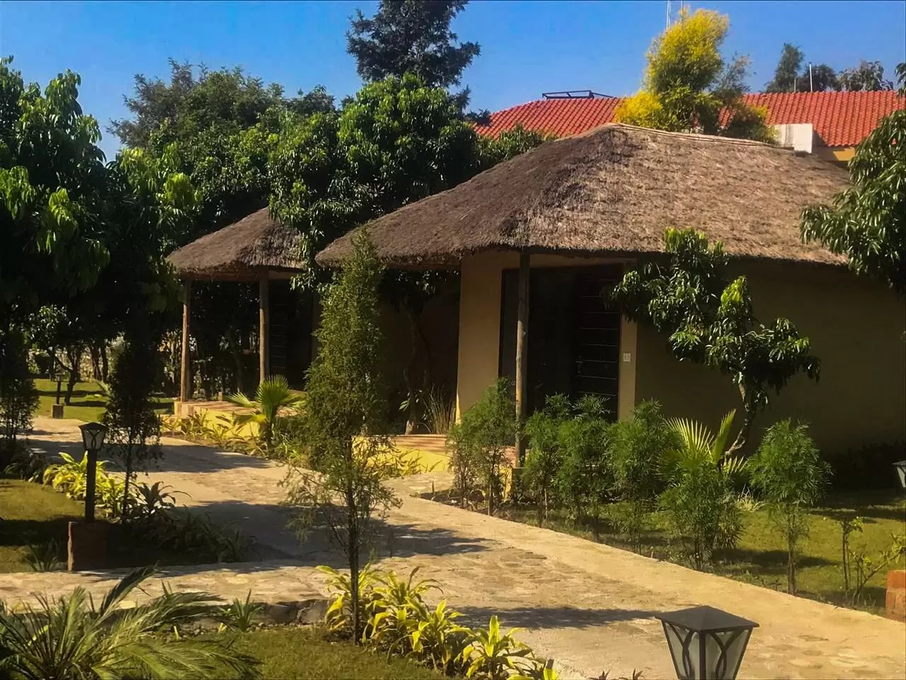 Corbett Tiger N Trees Tiger and Tree Resort in Corbett Location