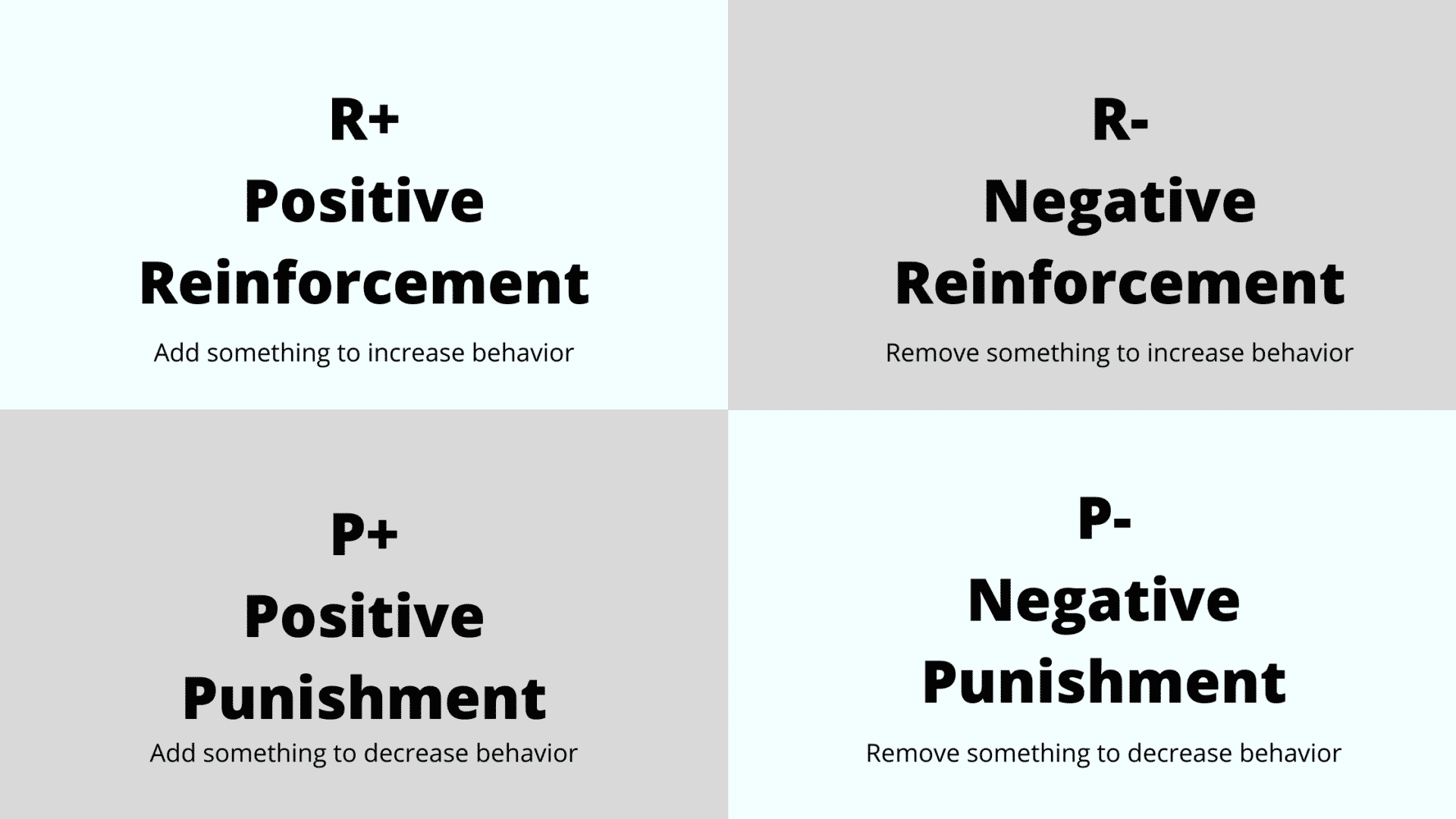 The Best Prong Collar for a Great Dane Everything You Need to Know