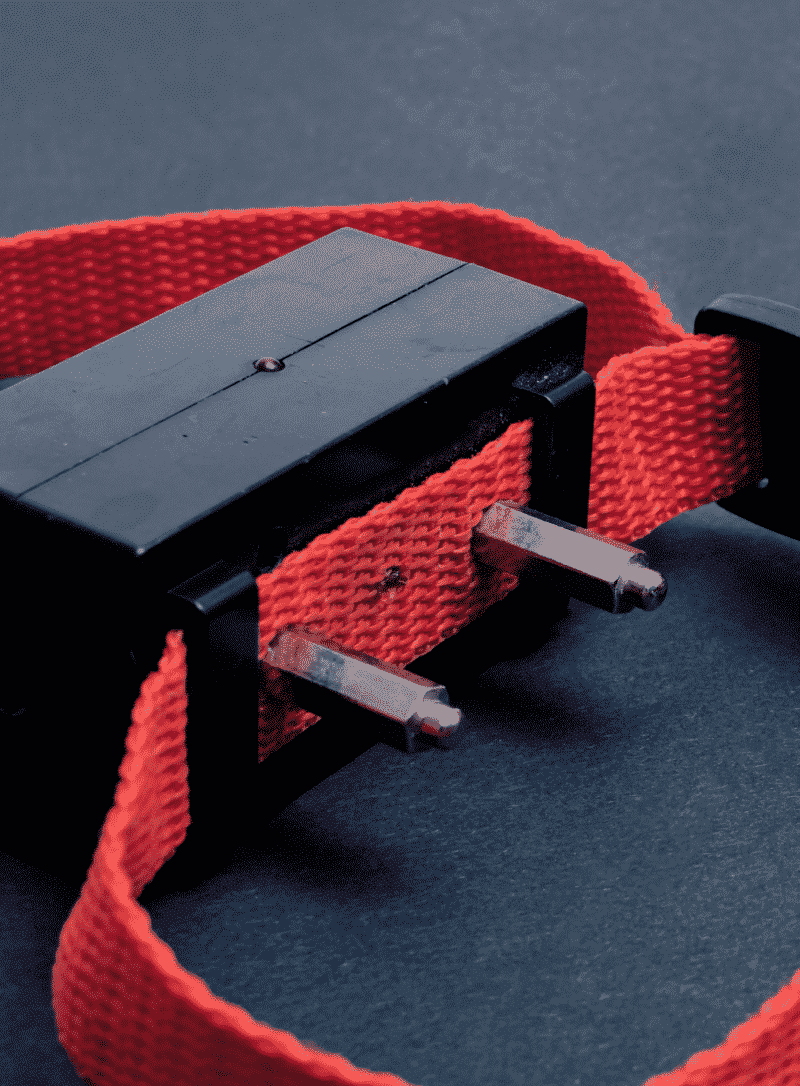 What is the Difference Between an ECollar and a Shock Collar? Hello