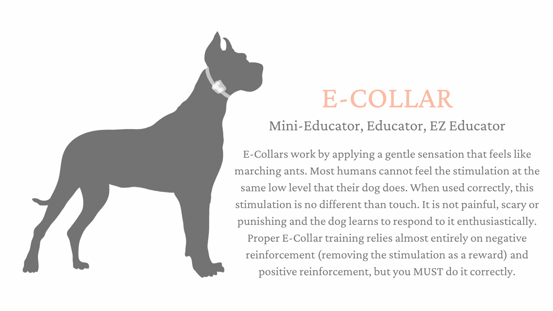 Halo Dog Collar Review (Our Honest take) Hello Danes