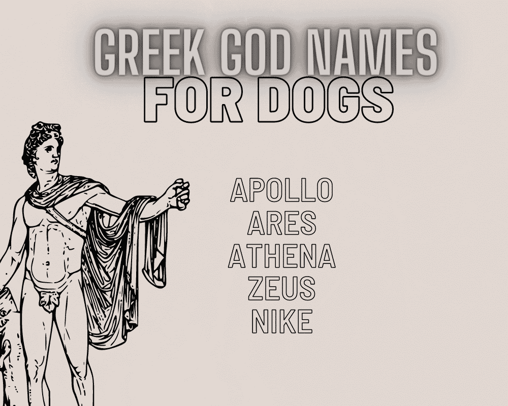 The Most Popular Big Dog Names Unique Names for Your Giant Dog Hello