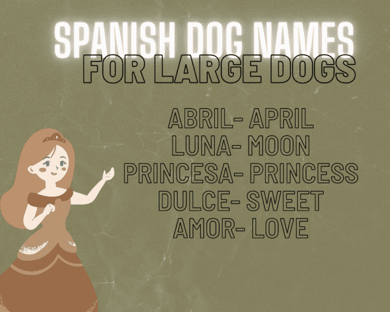 The Most Popular Big Dog Names Unique Names for Your Giant Dog Hello