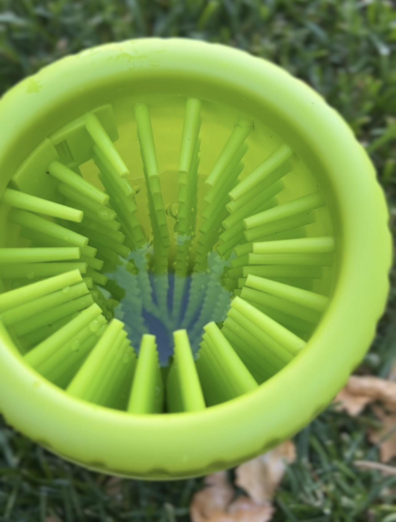 My Personal and Unbiased Review of the Insane Dexas Petware Mudbuster