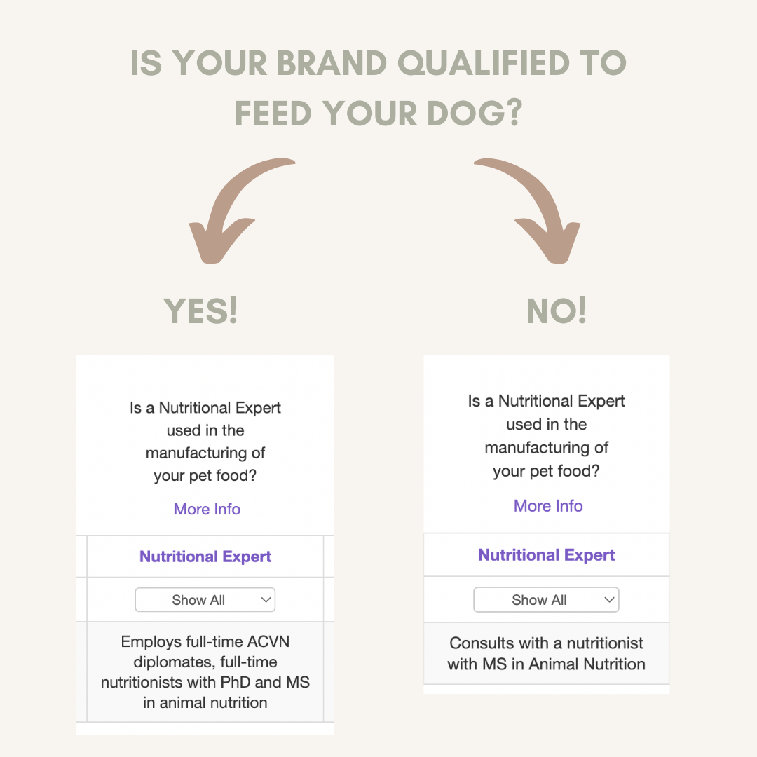 Dog Food DCM in Great Danes Hello Danes