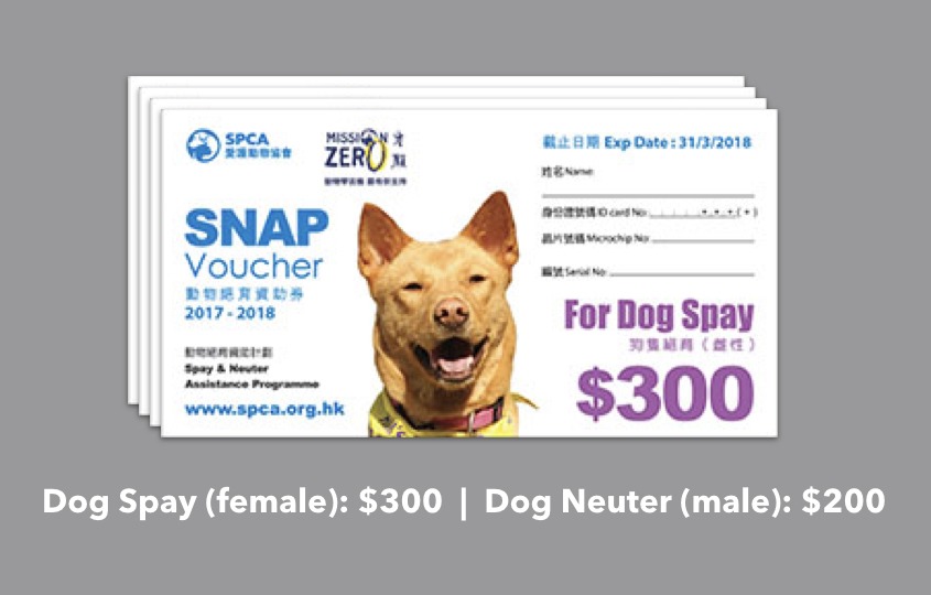 Voucher scheme for desexing your pet in Hong Kong